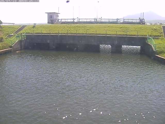 取得できませんでした