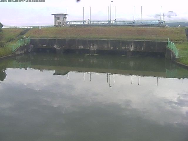 取得できませんでした