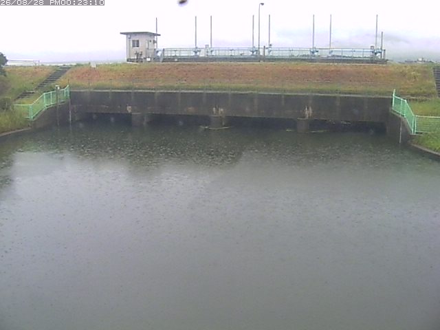 取得できませんでした