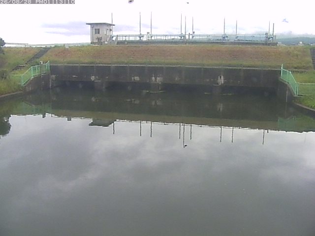 取得できませんでした