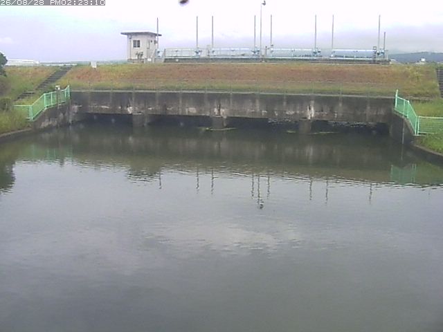 取得できませんでした