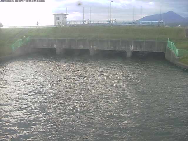取得できませんでした
