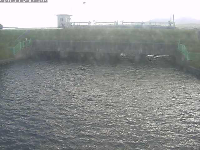 取得できませんでした