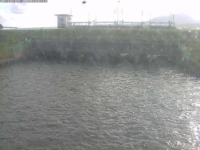 取得できませんでした