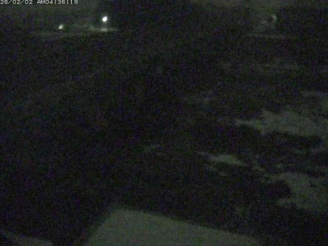 取得できませんでした