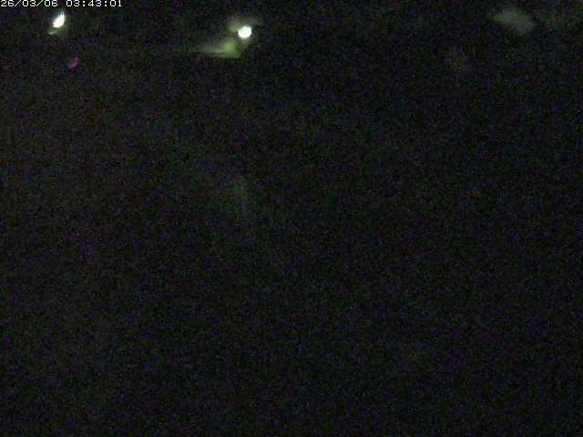 取得できませんでした