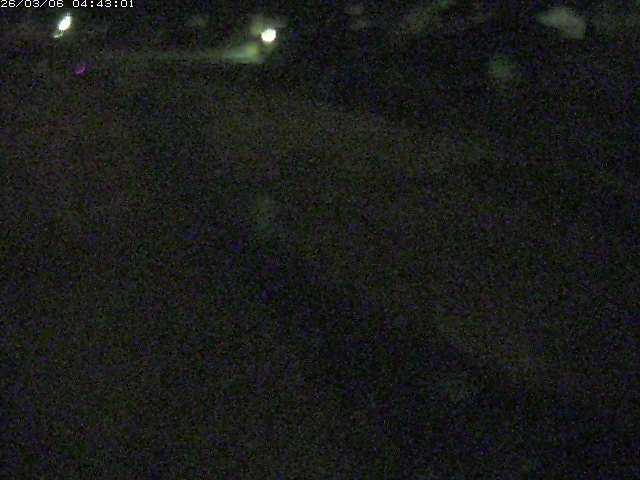 取得できませんでした