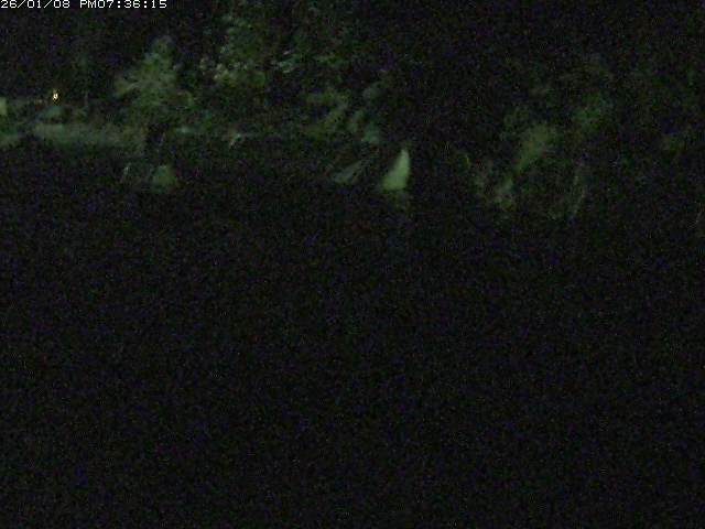 取得できませんでした