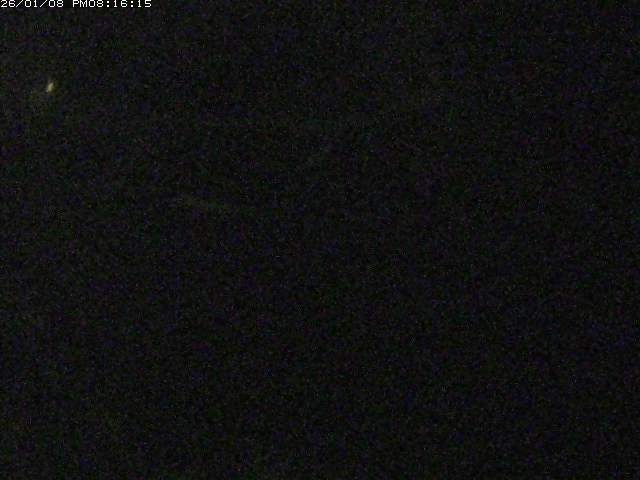 取得できませんでした