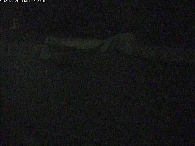 取得できませんでした