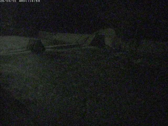 取得できませんでした