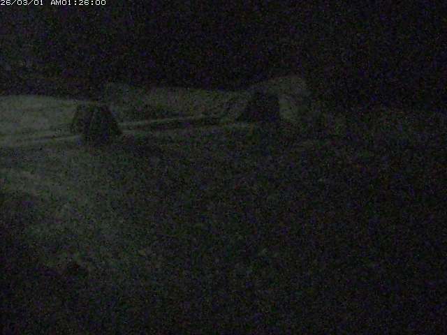 取得できませんでした