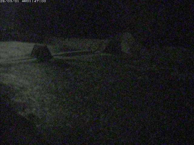 取得できませんでした