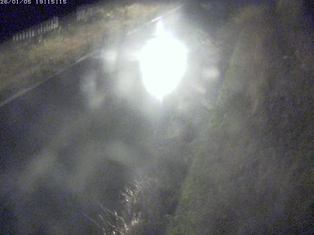 取得できませんでした