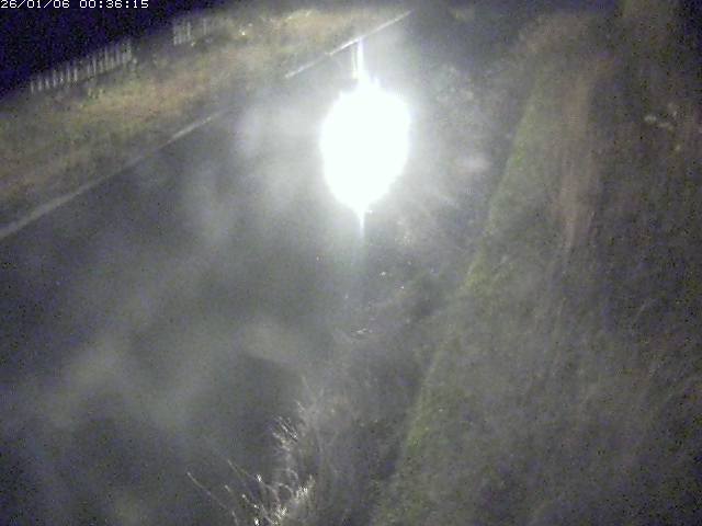 取得できませんでした