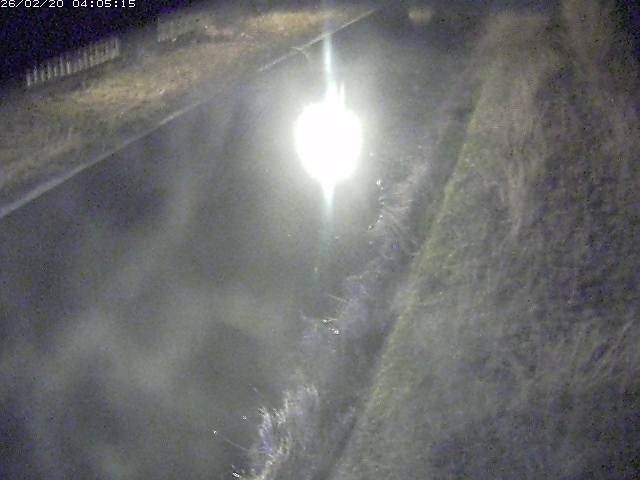 取得できませんでした