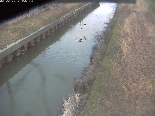 取得できませんでした