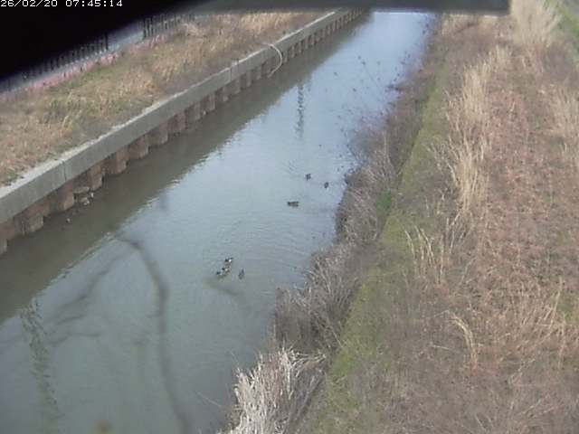 取得できませんでした