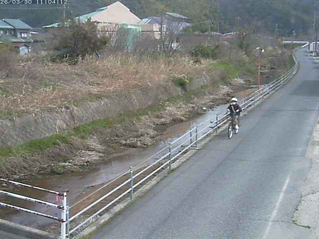 取得できませんでした