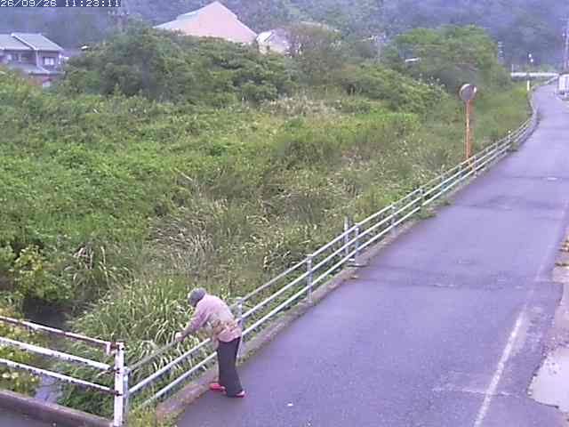 取得できませんでした
