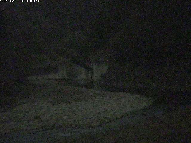 取得できませんでした