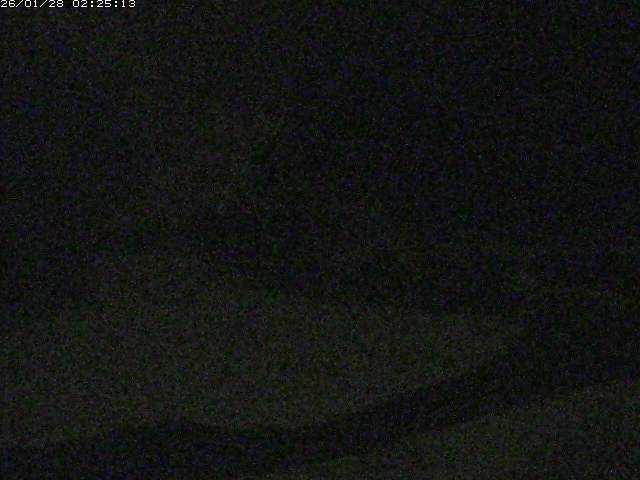 取得できませんでした