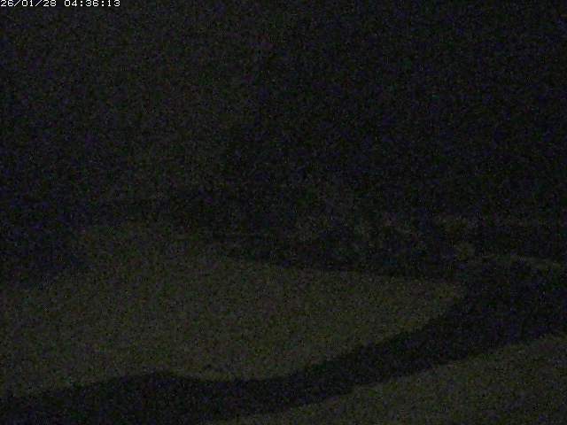 取得できませんでした