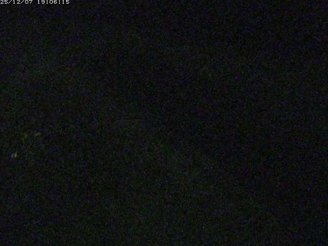 取得できませんでした