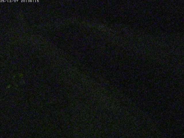 取得できませんでした