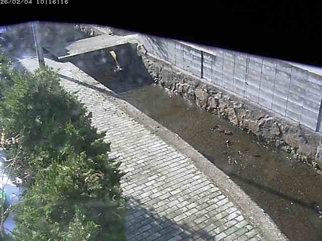 取得できませんでした