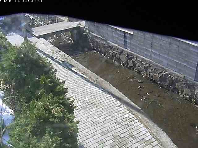 取得できませんでした