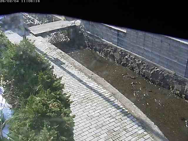 取得できませんでした