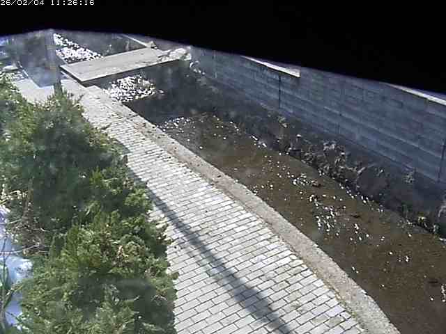 取得できませんでした