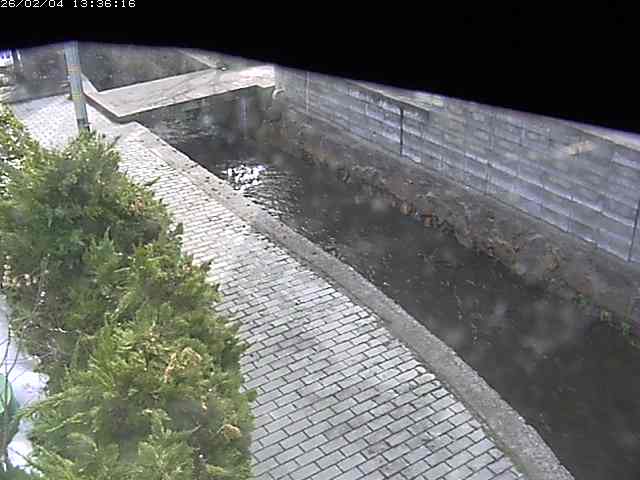 取得できませんでした