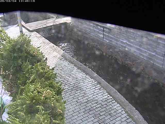 取得できませんでした