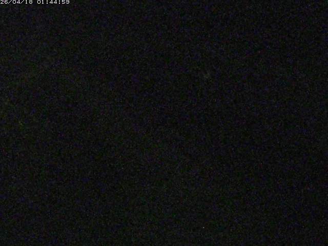 取得できませんでした