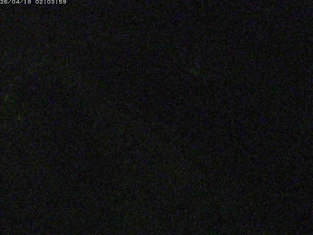 取得できませんでした