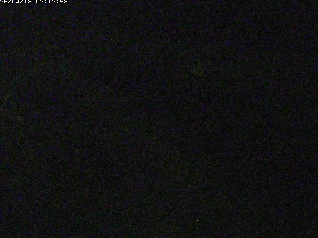 取得できませんでした