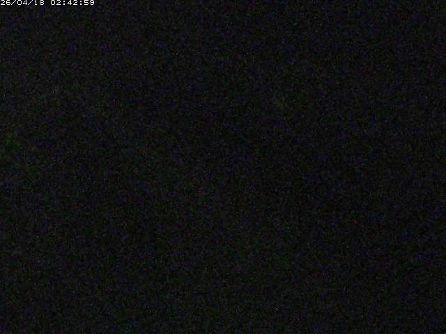 取得できませんでした