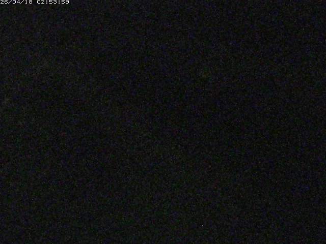 取得できませんでした