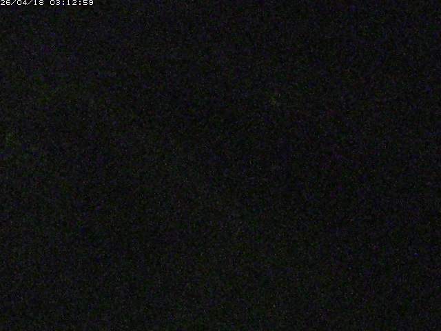 取得できませんでした