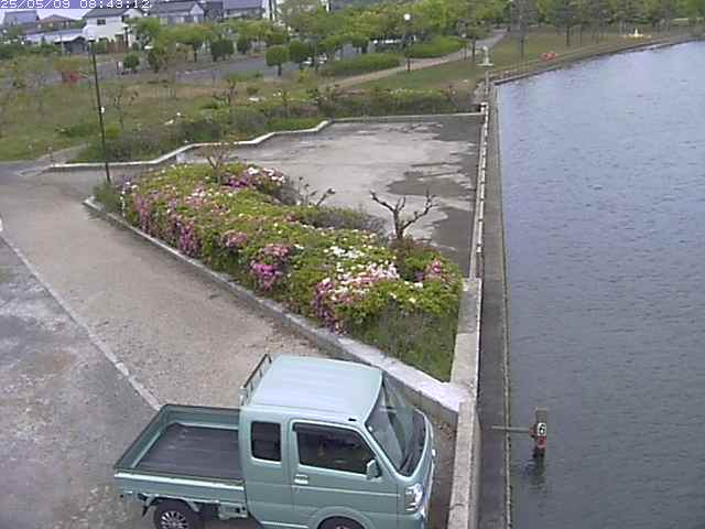 取得できませんでした
