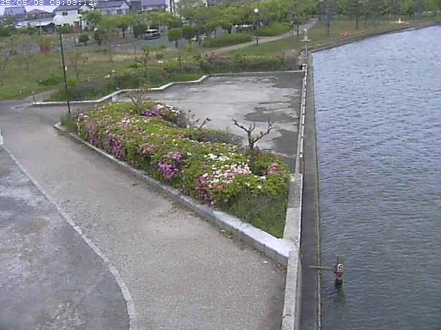 取得できませんでした