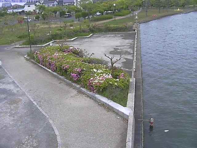 取得できませんでした