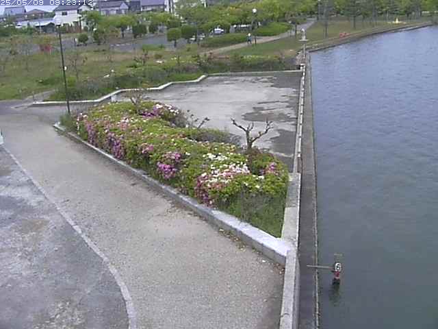 取得できませんでした