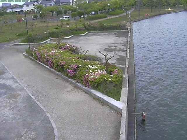 取得できませんでした