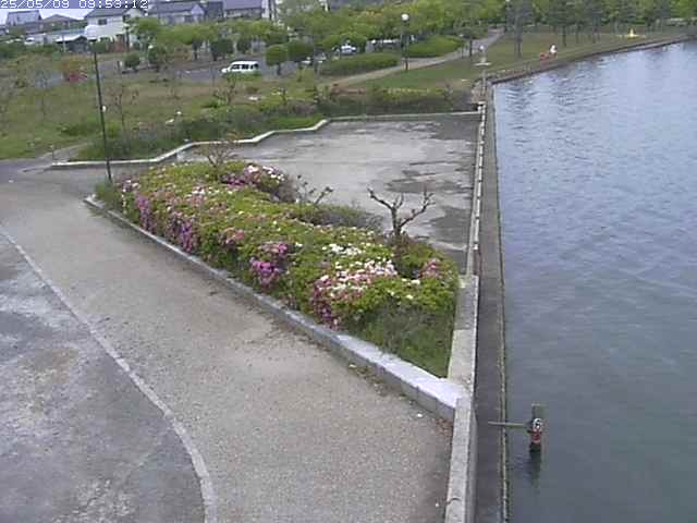 取得できませんでした