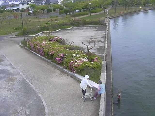 取得できませんでした