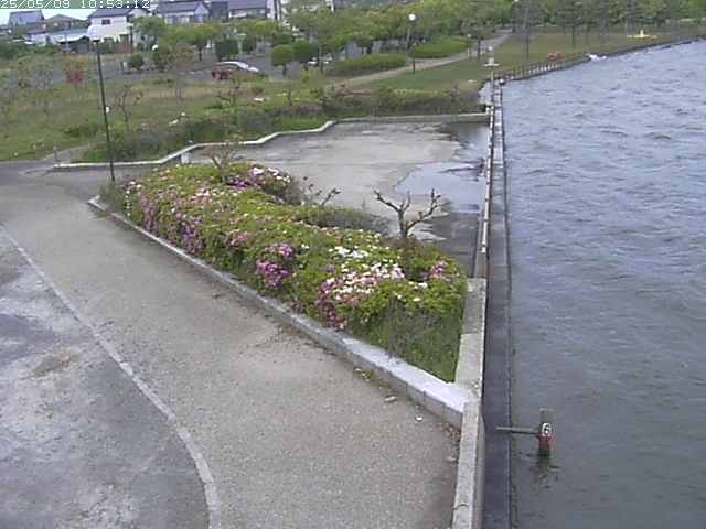 取得できませんでした