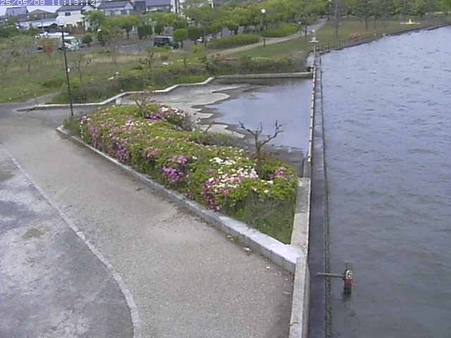 取得できませんでした